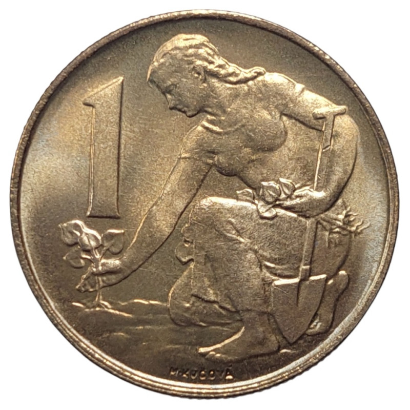 1 Koruna 1988 RR